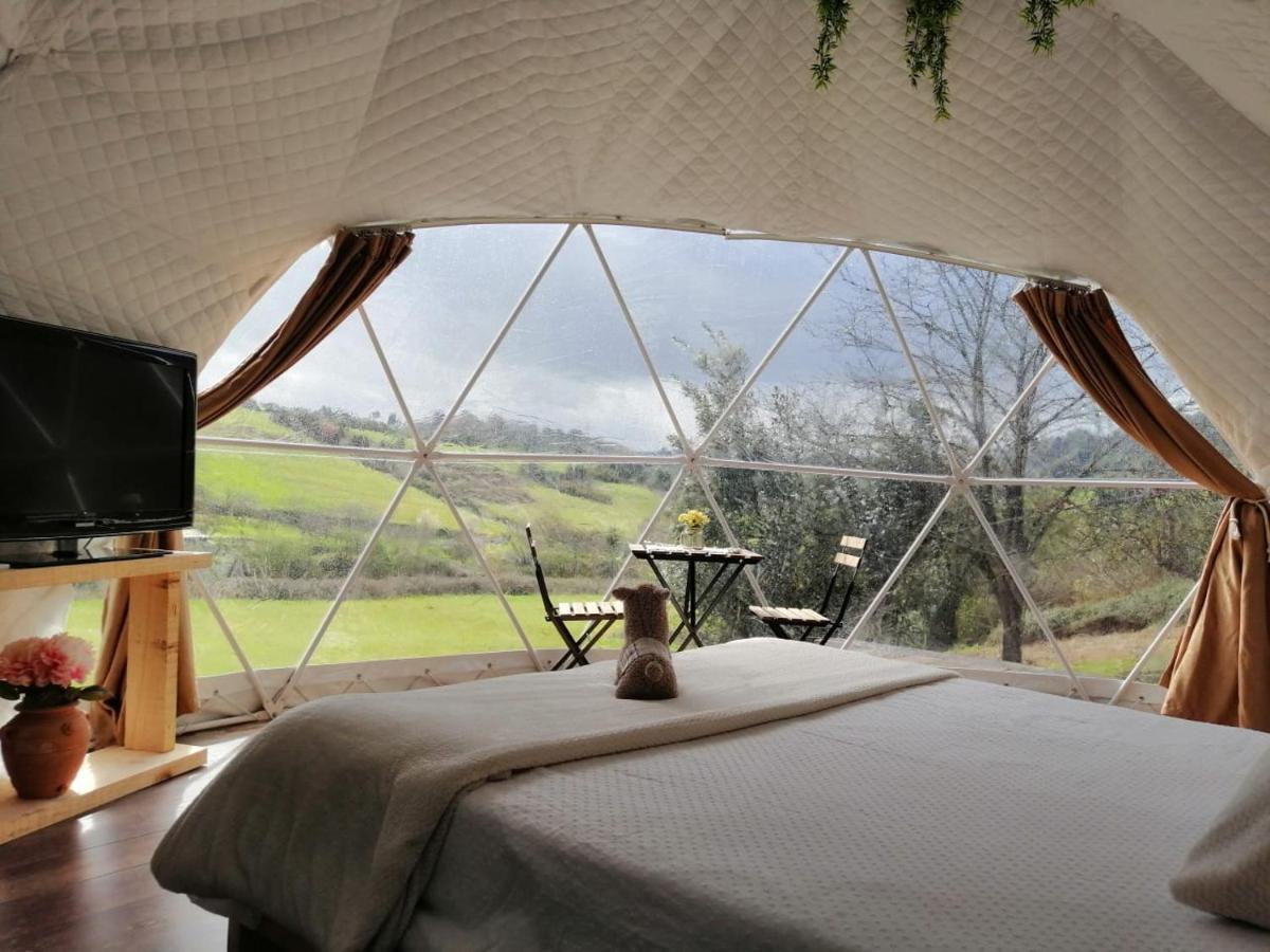Glamping Quintana Hotel Gijon Luaran gambar